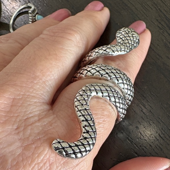 31 Rings Collection - Picture 7 of 16